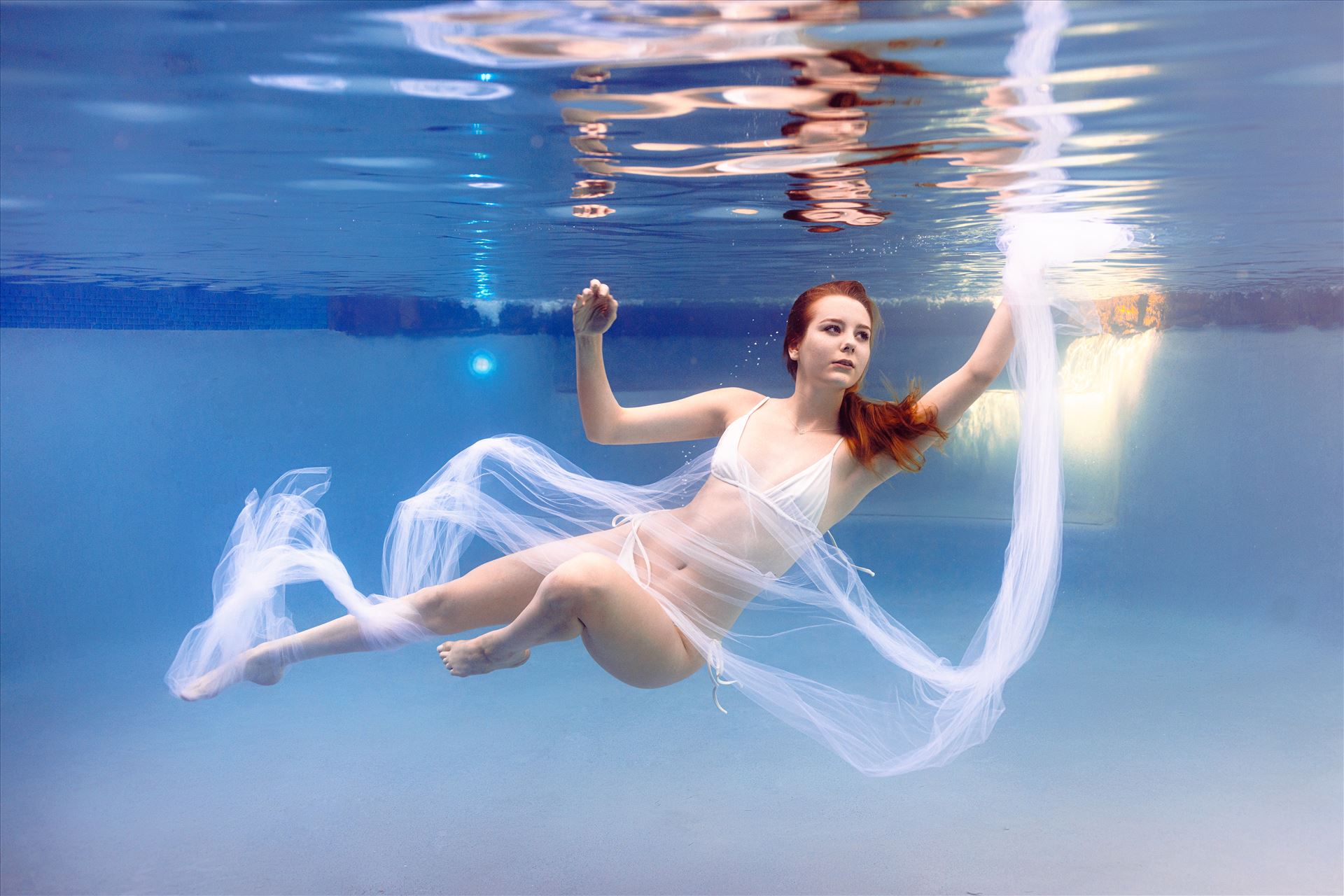 The Photo Collection of Underwater - 